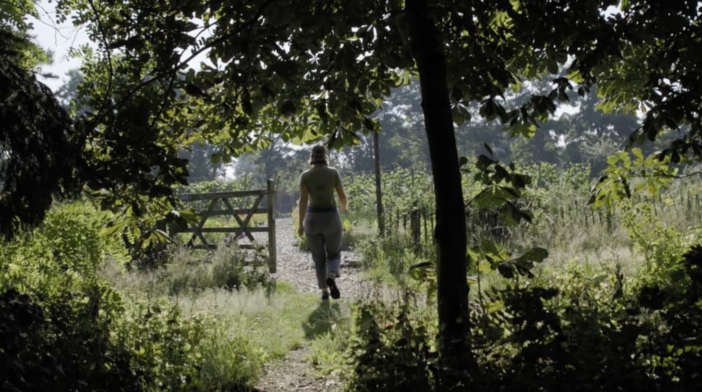 Regeneratieve landbouw op Bodemzicht in Malden