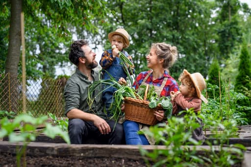 Community Gardens SET IJburg