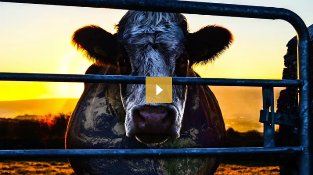Cowspiracy