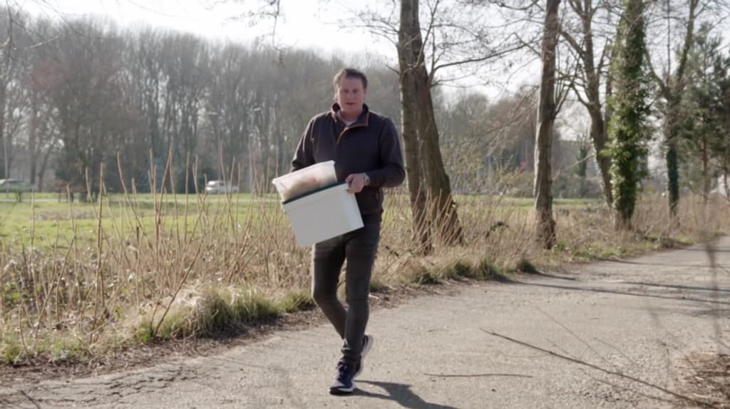 Oesterzwammen kweken met koffiedik