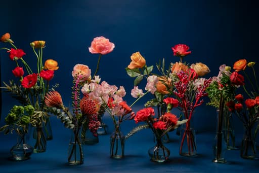 Reflower
