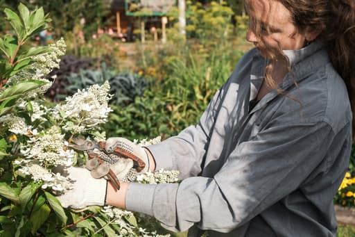 Het eetbare plantsoen