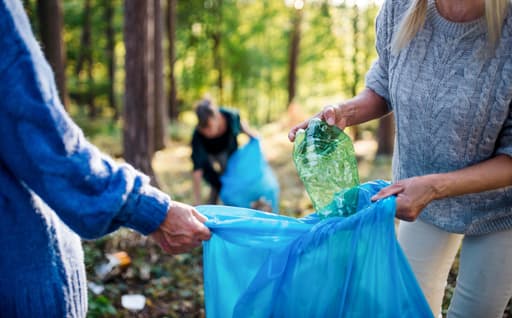 CleanUp Weesp