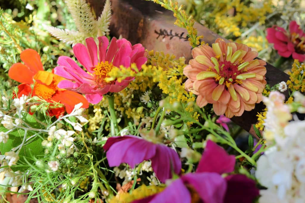 Noorderbloemen