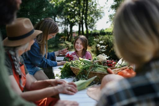 Transvaal Community Gardens Association