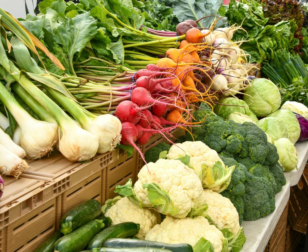 Foodcoop Noord
