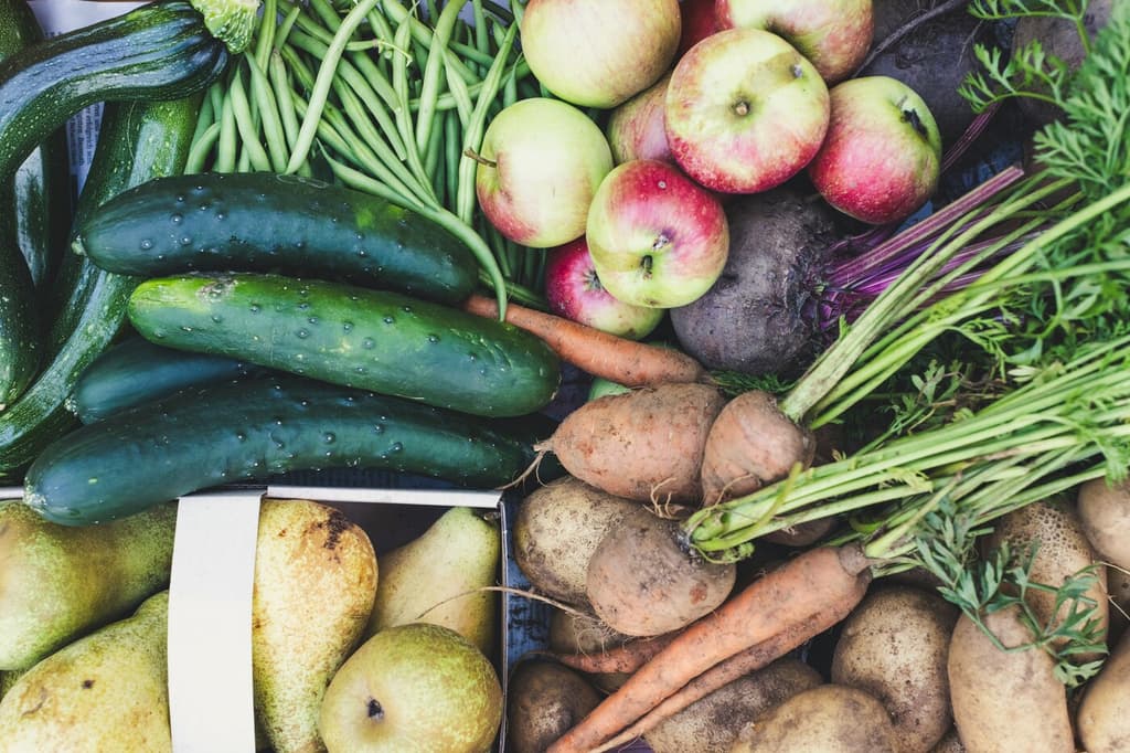 Foodcoop Noord