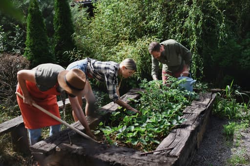 Transvaal Community Gardens Association