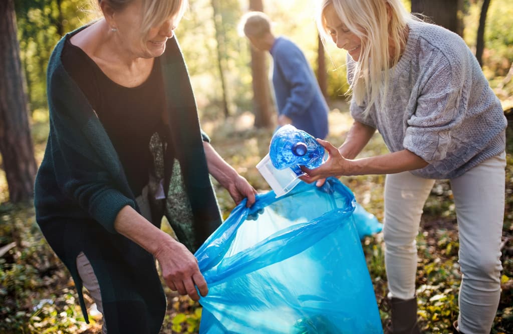 CleanUp Weesp