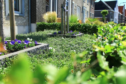Groene-Stoep-Stappen