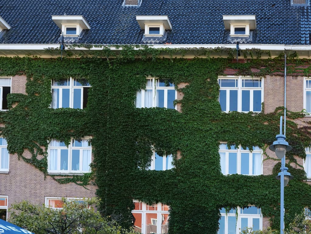 Green Neighborhoods