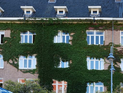 Groene Buurten