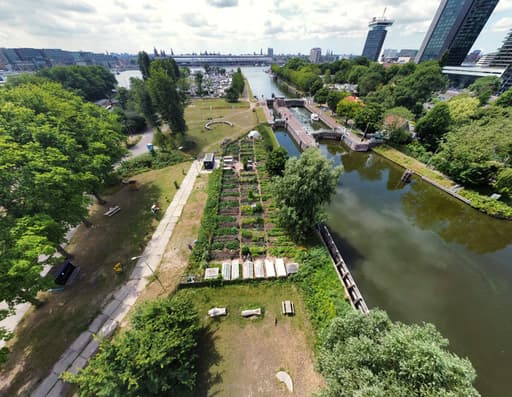 Moestuinschool Amsterdam