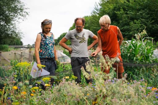 Moestuinschool Amsterdam