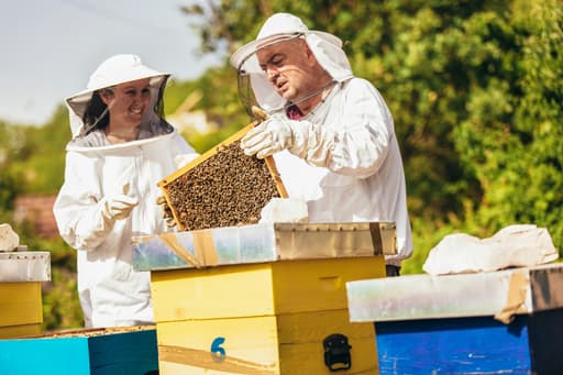 Beekeepers’ association Amsterdam