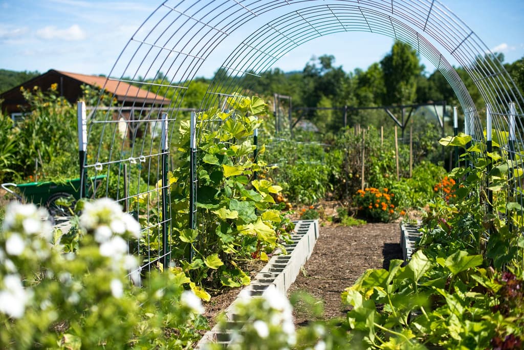 De Fruittuin van Moerkerken